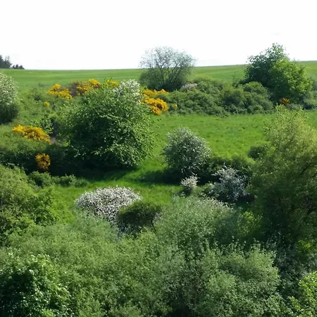 Eifelhoehe Mit Maarpanorama *