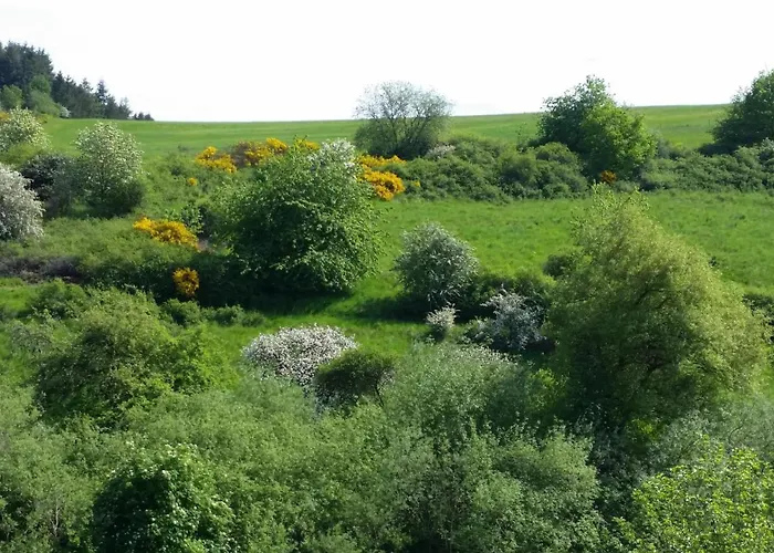 Eifelhoehe Mit Maarpanorama *