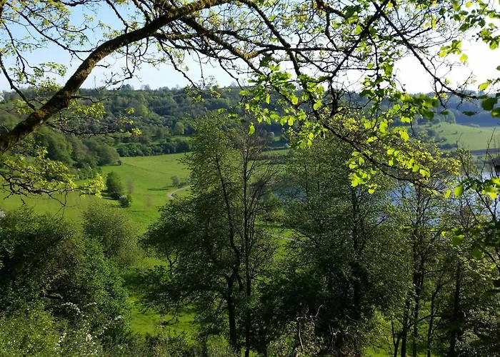 Eifelhoehe Mit Maarpanorama * Schalkenmehren
